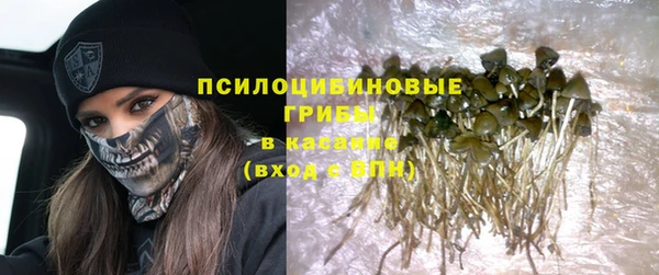 синтетический гашиш Алексеевка