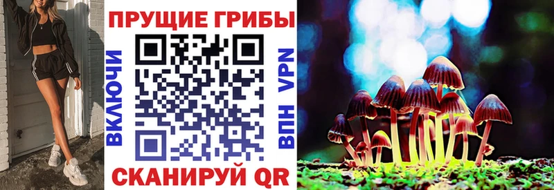сколько стоит  Дыгулыбгей  Псилоцибиновые грибы прущие грибы 